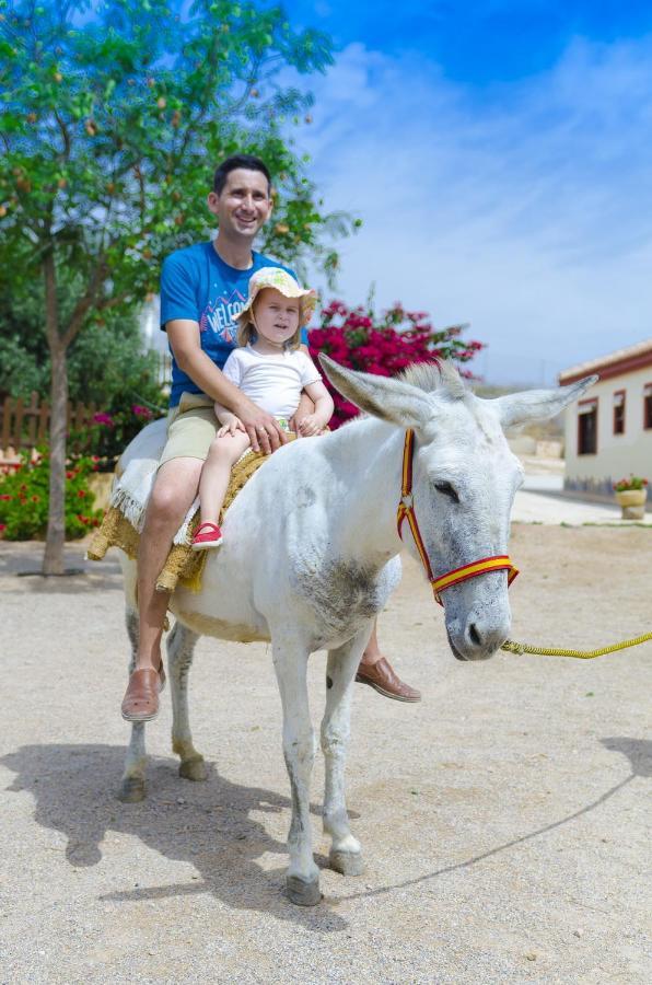 Finca Liarte Guest House Fuente Alamo  ภายนอก รูปภาพ